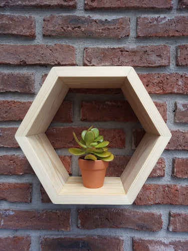 Artisanal Hexagonal Wooden Shelves - Brand New! 0