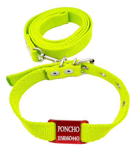 Medallas para perros Red Tag + Green Apple Collar and Leash 1