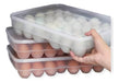 JALÚ BAZAR Plastic Egg Holder for 24 Eggs Hermetic 0