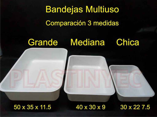 Plastinyec Medium Display Trays for Butcheries - Pack of 12 Units 5