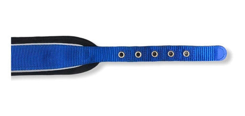 Padded Narrow Dog Collar 5