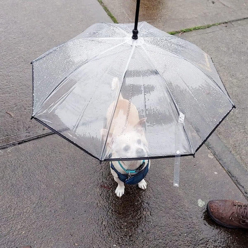 Guarda-chuva De Cachorro Para Cães Pequenos Guarda-chuva De 4