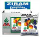 Ziram Granuflo Fungicida Caja 6 Unidades X 100 Gs 0