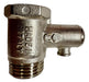 1/2 Inch Pressure Relief and Check Valve for Water Heaters - Brass Construction 0