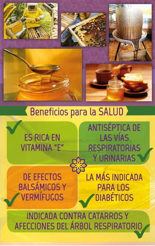 6x Certified Organic Liquid Honey Las Quinas 100% Pure 3