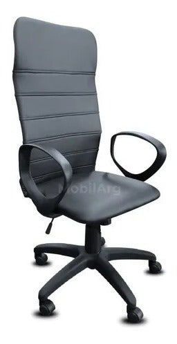 Mobilarg Ergonomic Executive Chair Blas Adjustable Ecocuer 0