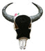 Alikiki Western Bull Skull Wall Decor, 13.6 Inch 4