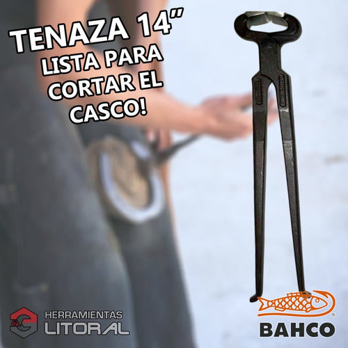 Tenaza Desvasar Bahco 14'' Herrador Herrar Cascos Caballos 4