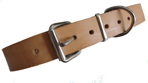 Premium Leather Dog Collar for Medium Breeds 3 cm Wide 4