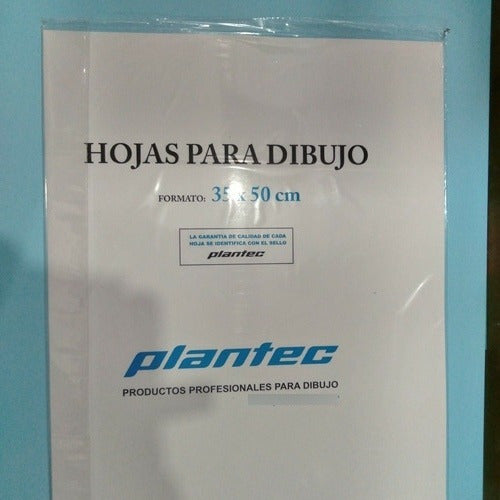 Papel Dibujo Blanco Plantec Ind Argentina 35x50 142gr X10 2