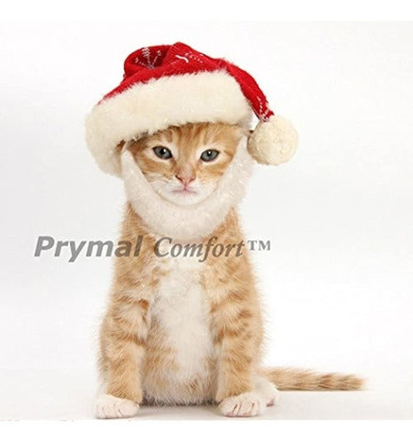 Prymal Comfort Santa Dog Cat Costume 3