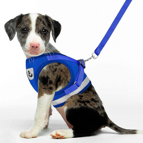 Padded Harness with Leash for Small Dogs and Cats - Various Sizes 15