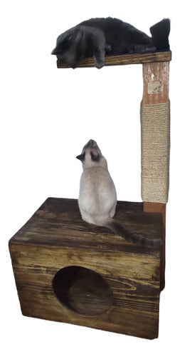 CATMOM Cat Scratcher with Bed and Wooden Base 2