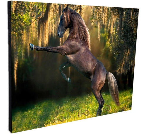 Wall Key Holder Horses Various Models 15x20cm (8) 6