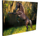 Wall Key Holder Horses Various Models 15x20cm (8) 6