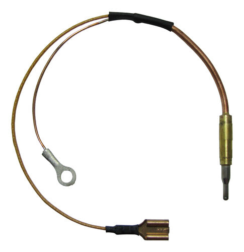 Longvie Thermocouple Heater with Mass 0