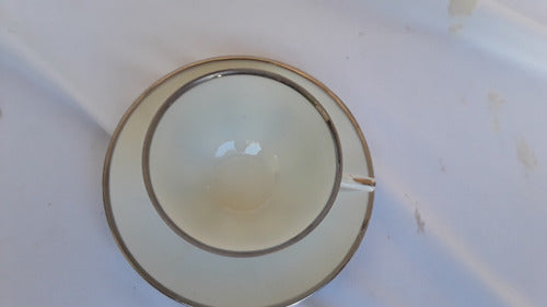 Taza De Te Porcelana Francesa Limoges Linea Color Plata (1) 2