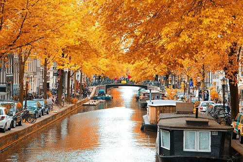 MYCARTE Lamina Fine Art Foto Amsterdam En Otoño 50x70 Cm 0