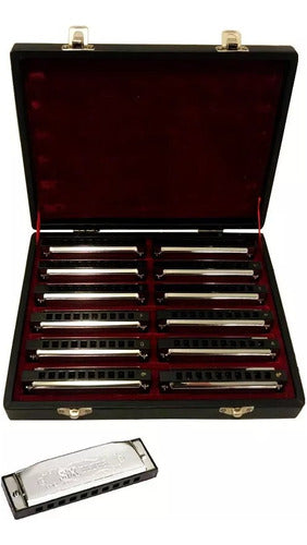 SX Diatonic Harmonica Set - 12 Notes + Case 2