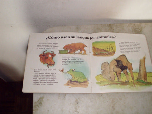 Libro Infantil, Coleccion Mil Preguntas,  Gustando . 2