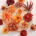 Ruidkun Artificial Flowers 25pcs Combo of Realistic Fake Silk Flowers 1