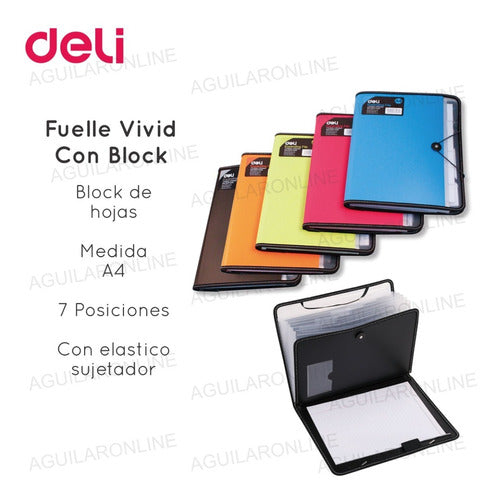 Deli 3 Folders with Block A4 Color Accordion 1