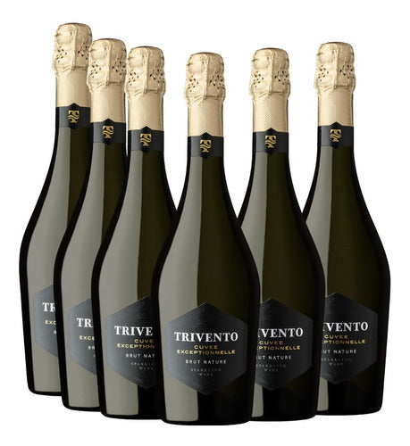 Trivento Cuvée Brut Nature Sparkling Wine 750 ml 0