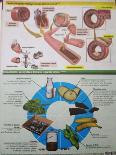 Colorful 25-Sheet Hypertension Nutrition Laminate Block 1