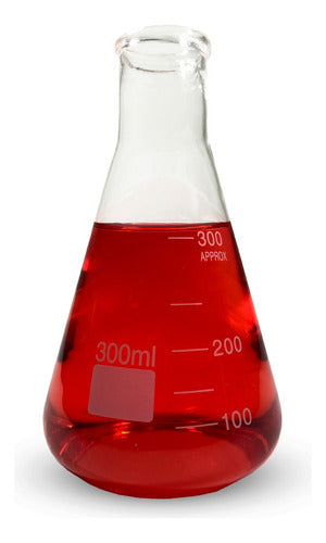 Erlenmeyer De Vidro Boca Estreita Graduado 300ml 0