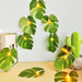 Fielegen 20 LED String Lights Monstera Leaves, Palm Leaves 2