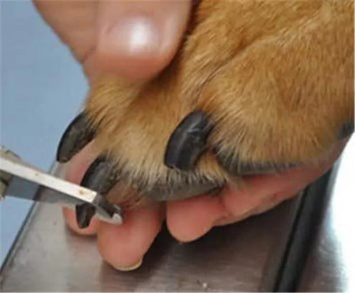 Alicate Corta Uñas Mediano De 13 Cm Con Lima Para Mascotas 1