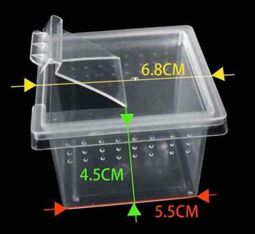 Mini Plastic Box for Spiderlings Tarantulas x10 units 1