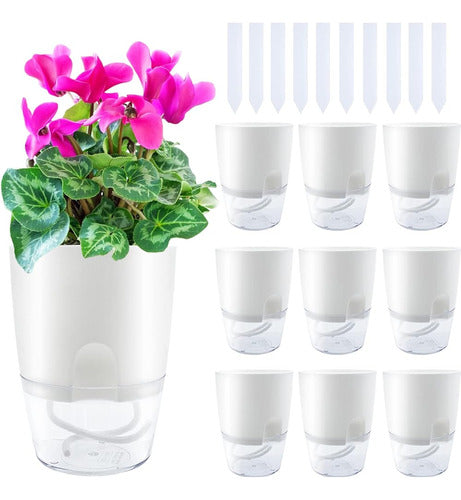 Haawooky 10 Pack Self-Watering Transparent Pots 0