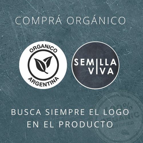 Sentido Común Organic Whole Spelt Flour 6 X 1 Kg 2