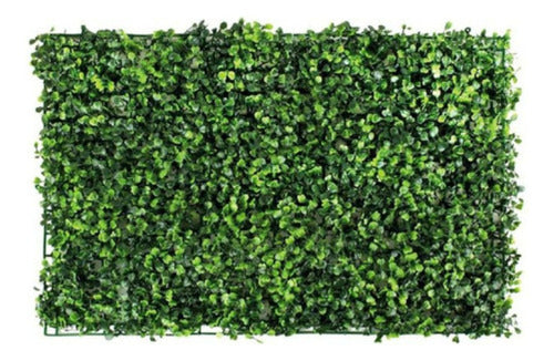 Pack X50 Jardin Vertical Artificial Muro Pared Panel 0