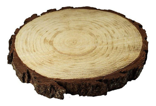 Herrería Dumont Rodaja De Arbol 15cm, Rebanada Tronco 15cm 0