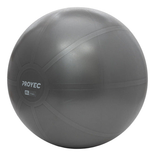 Proyec Swiss Gym Ball 65 cm + Fitness Gym Inflator 12