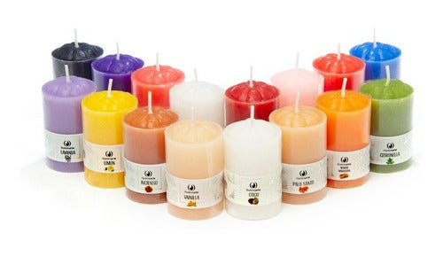 Set of 12 Scented Paraffin Aromatic Votive Candles by Iluminarte 21