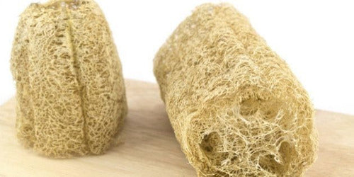 Huerta organica Luffa Vegetable Sponge Plant Seeds, 30 Units 0