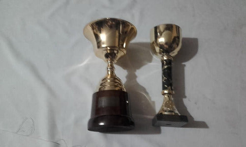 Lote De Trofeos Futbol  Y Campeonatos De Perros 2