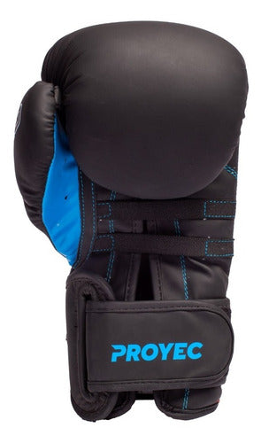 Proyec Kick Boxing Box Muay Thai Imported Boxing Gloves 2