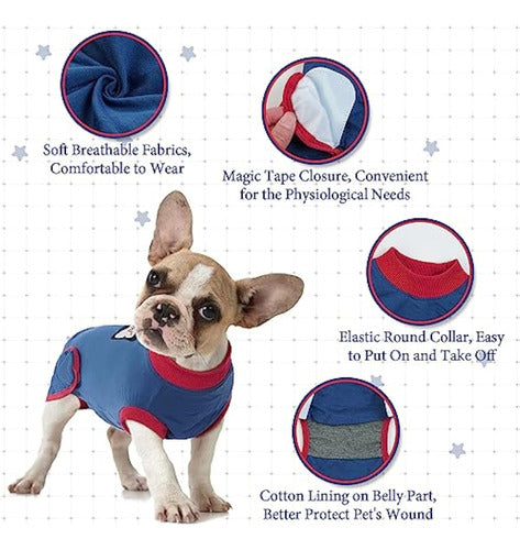 Generic Recovery Suit for Dogs and Cats After Surgery 1