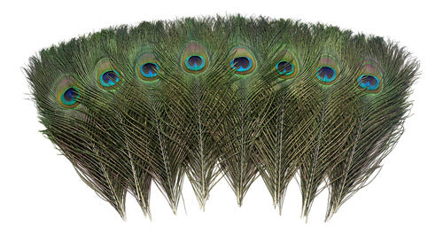 36 Plumas De Ojo De Pavo Real Naturales Reales De 10 A 12 Pu 1