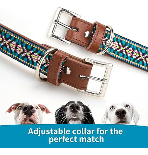 Generic Western Dog Collar, Leather Collar 4