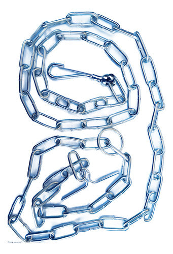 Genérica Chain for Large Dogs + Free Shipping 0