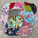 Pack 3 Ted Ecological Cloth Diapers + 6 Absorbents - Liner Wetbag 6