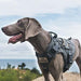 OneTigris Tactical Dog Harness - Adjustable Tactical Dog Harness With Handle Full Body Dog Vest For Hiking Training Outdoor Dogs (Grey, Small) 1