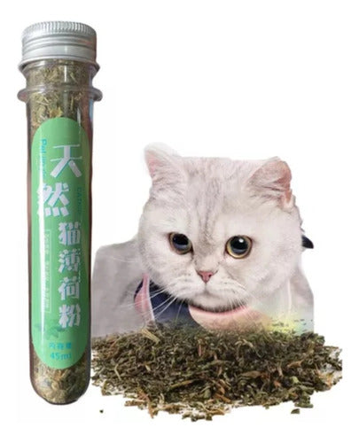 PET JINGLE Tubo Catnip Deshidratado Hierba Gatera Atrayente Gato Gatito 5