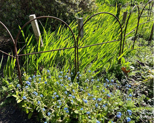 Elevate Jardin Medium Black Iron Fence for Garden Borders and Paths 1