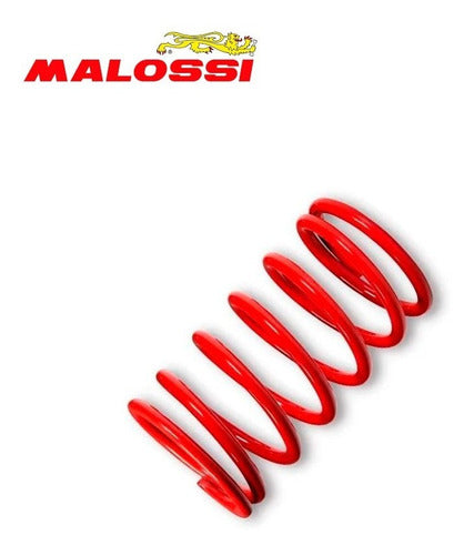 Malossi Contra Resorte Rojo Embrague N-Max 155 1